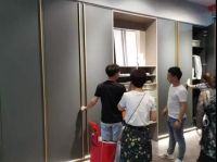 坚持三“优”战略 韩丽家居谋建消费升级生态链