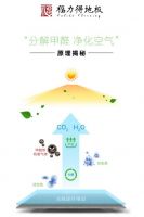 福力得地板丨净醛抗菌，高品质更健康的家居生活