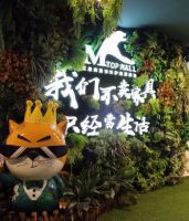红星美凯龙王威：“豹”发 ！爆发！赋能家居TOP MALL