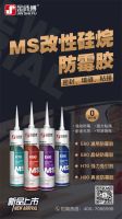 金师傅MS防霉胶带来全新家居体验，国产代替进口的时代来