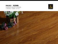 大卫地板丨中国红强化网络系列 给您健康家居保障
