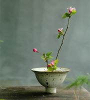 精致花器，夏日家居的“颜值担当”