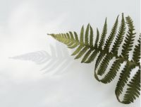 好色家居|得高Parky拼花地板 撷一抹秋意正浓