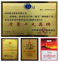 OUBAO欧宝（地板/木门/整体家居）再获中国地板十大品牌殊荣