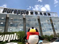 走进名优企业丨为改变中国人的家居文化和生活品质而努力——紫苹果装饰