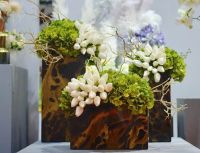 与色花艺王丰:专业设计师软装花艺品牌 呈现灵感家居氛围