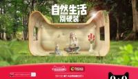 携手天猫布局新零售，大自然地板引领家居消费升级