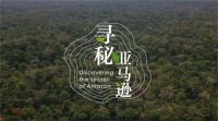 大自然家居携手天猫超级品牌日引爆流量