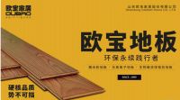 欧宝地板/木门/整体家居受邀参加2019世界地板业工商峰会