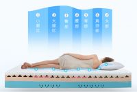 芝华仕智能床预售创新高 引领卧室家居新风潮