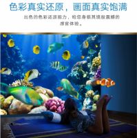 立邦投影漆全新上市打造家居大屏体验