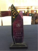 中国全装修家居产业峰会召开，蓝天豚硅藻泥连斩五大奖项