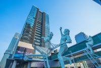 以花会友 罗浮宫家居艺术中心与媒体共享生活艺术