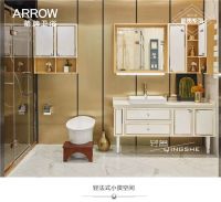 箭牌卫浴：提供卫浴家居解决方案，抢占年轻消费市场