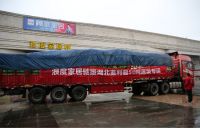 携手抗击疫情，浪度家居向湖北监利捐赠50吨爱心蔬菜，彰显责任担当！