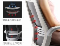 焕“颜”一新，西昊灵动椅新色上市-西昊官网