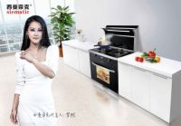 签约著名歌手梦然发力营销 西曼帝克集成灶步入发展快车道