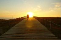 这种精神很全度!