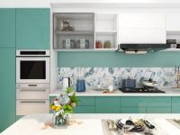 老板电器中国新厨房设计大赛三等奖获得者——段昱菲