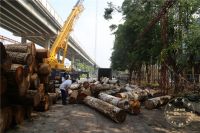 豪利集团董事长杜延金：为原木赋予文化让原木为文化传承