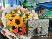 雅之轩门窗丨有一种伟大叫平凡中的坚守