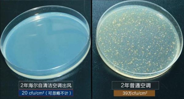 中科院细菌实验揭秘：夏天不敢乱开空调，原因都在这了