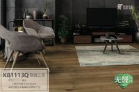 圣象地板：25年专注，造就极致的无醛生活