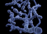 以“青耕”为名 愿天下无疫！四维“青耕”抗菌智洁釉问世