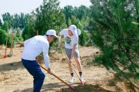 植树造林 防风固沙攻坚战，这些家居人在努力！