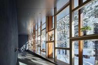 海外顶尖设计大师云集直播间，用设计为商业赋能