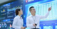 追光路上，公牛探索不息