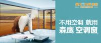 森鹰品牌战略媒体发布会 项目中心总经理边可仁答记者问