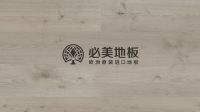 2020 DOMOTEX asia 地材展特别策划：必美国际乘风破浪篇