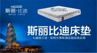 相约2020深圳国际家具展 同享斯丽比迪美梦