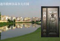 梵蒂斯|创新智造，引领装甲门品牌新风尚