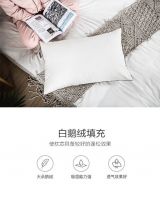 枕头到底该怎么选？——CatzZ瞌睡猫来教你！