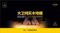 “两品一促一服务”丨大卫地板万众瞩木第三季火爆来袭！