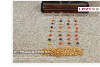 莱克立式吸尘器：轻松解决中国家庭清洁问题