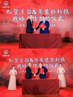 进攻2021!松堡王国战略发布私享会重磅启幕