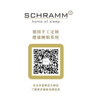 每6家高新技术家居企业，就有一家名称含“智”字