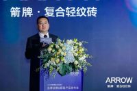 箭牌家居卢金辉：复合轻纹砖 让空间多一些留白