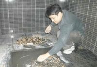 老公坚持要用“鹅卵石”铺厕所，害得我坚持不到3秒钟就不行了！