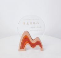 荣耀时刻!莱博顿淋浴房斩获“技术领先奖”年度大奖