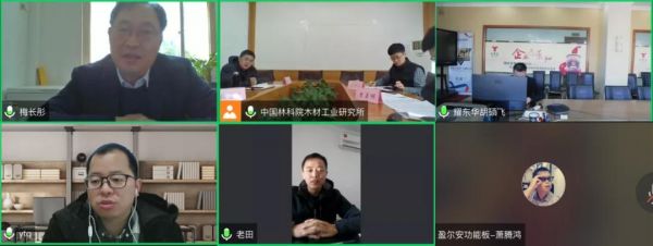 木质功能材料与制品联盟理事会暨专家委员会第二次会议