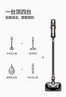 圣诞礼物选小狗 迎接新一年幸福感爆棚的家居生活