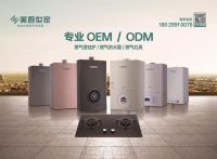 积极应对压力与挑战 不断提高竞争力——顺德燃气具产业群发力节能环保产品研发