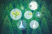 绿氧健空气维生素 关爱呼吸系统健康