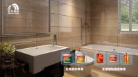 “虹扬·振兴”东方雨虹美丽城镇系列新品发布
