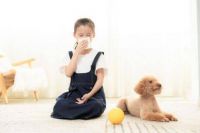 海信中央空调告诉你,毛孩子如何清爽度夏?