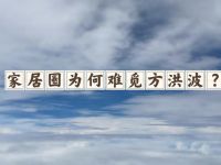 职业经理人变动频繁 家居圈为何难觅“方洪波”